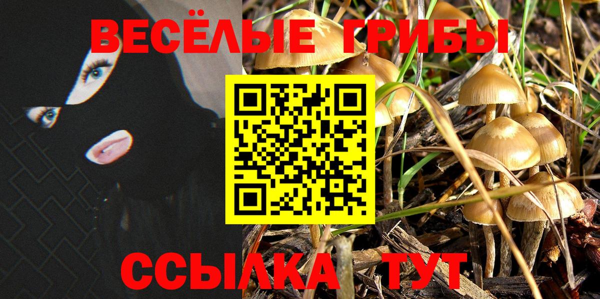 Псилоцибиновые грибы MAGIC MUSHROOMS  Вход с VPN  Орехово-Зуево  Галлюциногенные грибы прущие грибы 